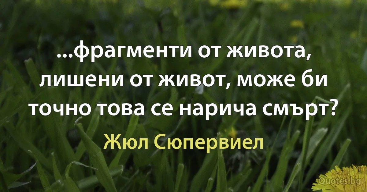 ...фрагменти от живота, лишени от живот, може би точно това се нарича смърт? (Жюл Сюпервиел)