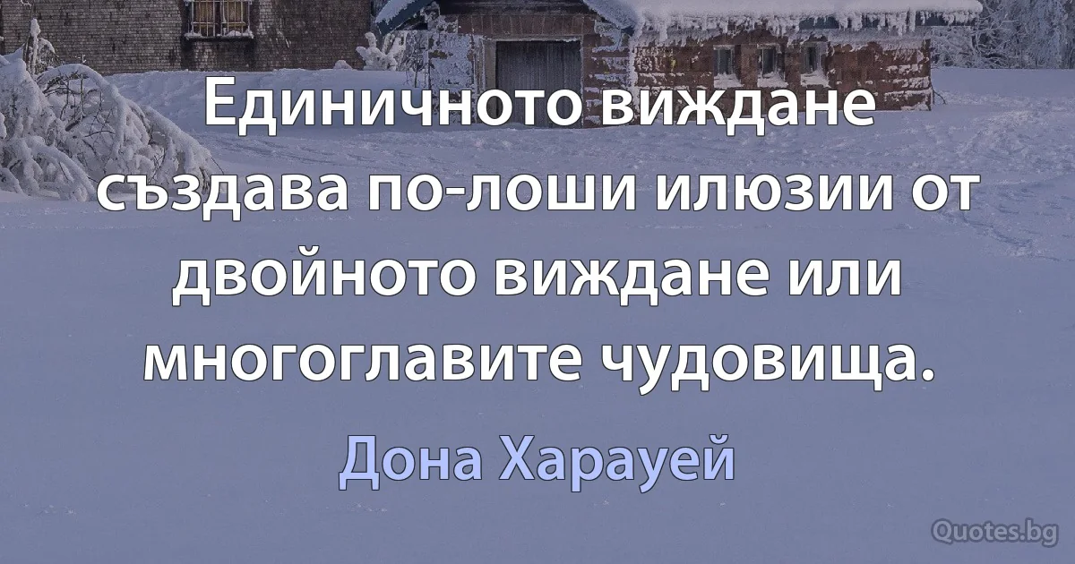 Единичното виждане създава по-лоши илюзии от двойното виждане или многоглавите чудовища. (Дона Харауей)