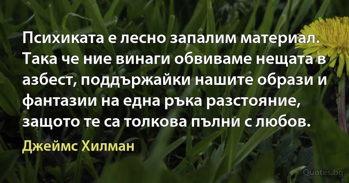 Психиката е лесно запалим материал. Така че ние винаги обвиваме нещата в азбест, поддържайки нашите образи и фантазии на една ръка разстояние, защото те са толкова пълни с любов. (Джеймс Хилман)