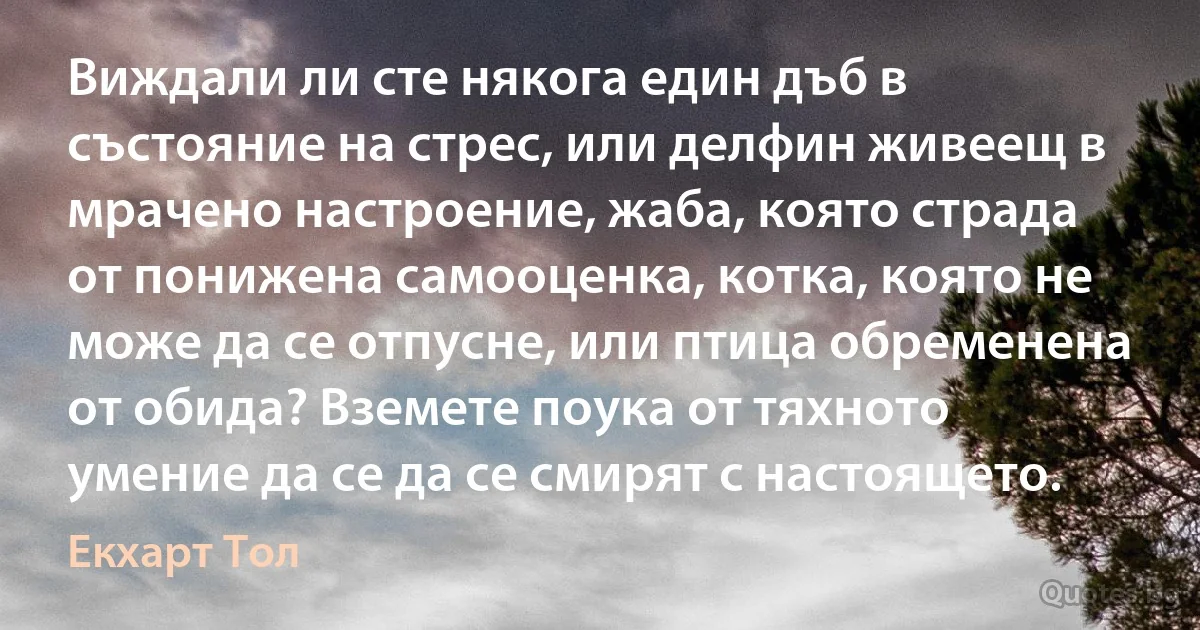 Виждали ли сте някога един дъб в състояние на стрес, или делфин живеещ в мрачено настроение, жаба, която страда от понижена самооценка, котка, която не може да се отпусне, или птица обременена от обида? Вземете поука от тяхното умение да се да се смирят с настоящето. (Екхарт Тол)