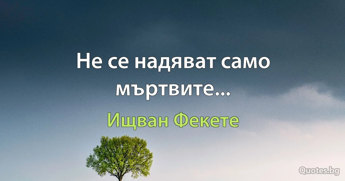 Не се надяват само мъртвите... (Ищван Фекете)