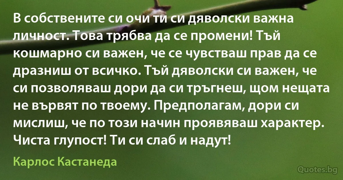 В собствените си очи ти си дяволски важна личност. Това трябва да се промени! Тъй кошмарно си важен, че се чувстваш прав да се дразниш от всичко. Тъй дяволски си важен, че си позволяваш дори да си тръгнеш, щом нещата не вървят по твоему. Предполагам, дори си мислиш, че по този начин проявяваш характер. Чиста глупост! Ти си слаб и надут! (Карлос Кастанеда)