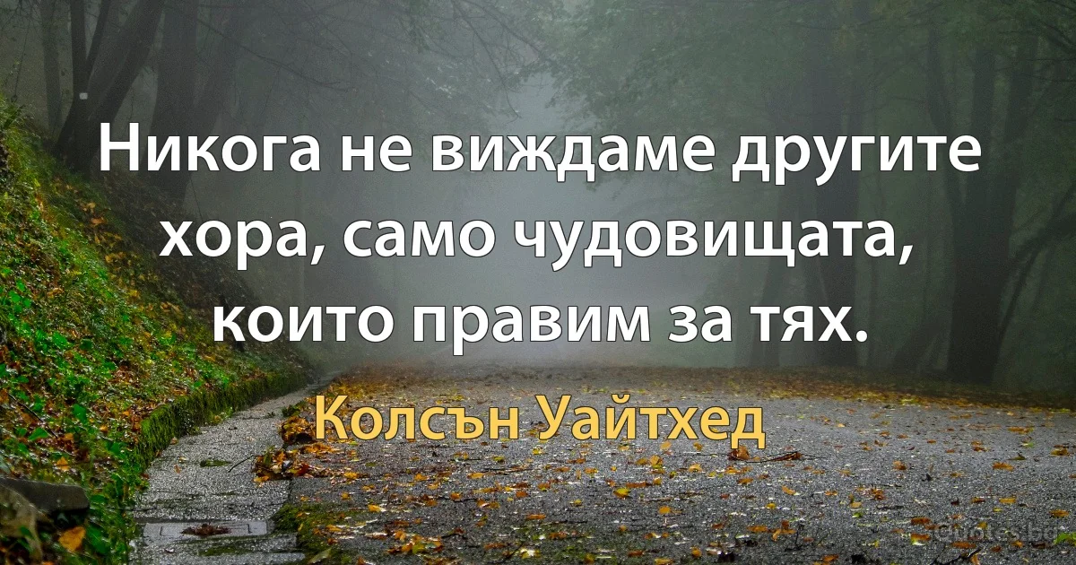 Никога не виждаме другите хора, само чудовищата, които правим за тях. (Колсън Уайтхед)