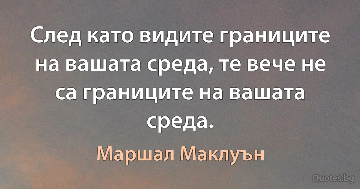 След като видите границите на вашата среда, те вече не са границите на вашата среда. (Маршал Маклуън)