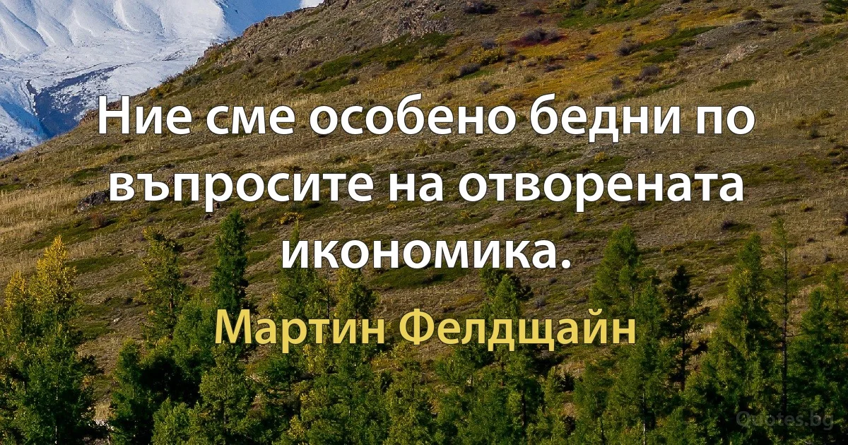 Ние сме особено бедни по въпросите на отворената икономика. (Мартин Фелдщайн)