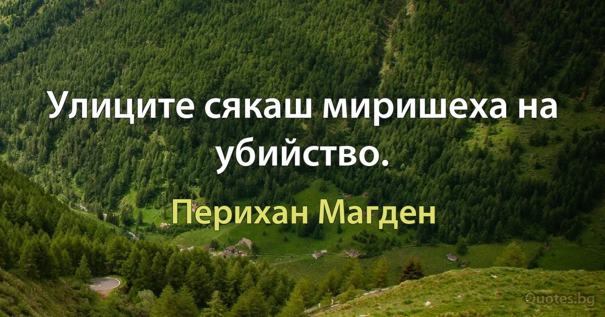 Улиците сякаш миришеха на убийство. (Перихан Магден)