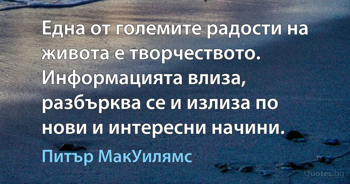 Една от големите радости на живота е творчеството. Информацията влиза, разбърква се и излиза по нови и интересни начини. (Питър МакУилямс)