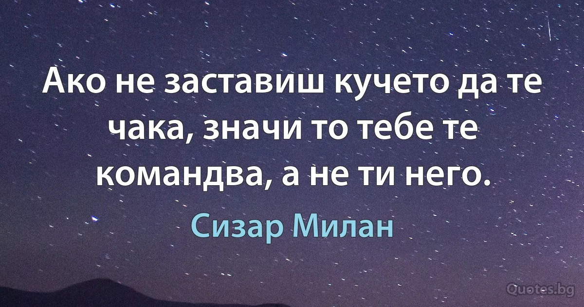 Ако не заставиш кучето да те чака, значи то тебе те командва, а не ти него. (Сизар Милан)