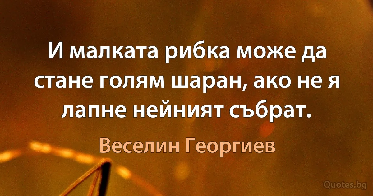 И малката рибка може да стане голям шаран, ако не я лапне нейният събрат. (Веселин Георгиев)