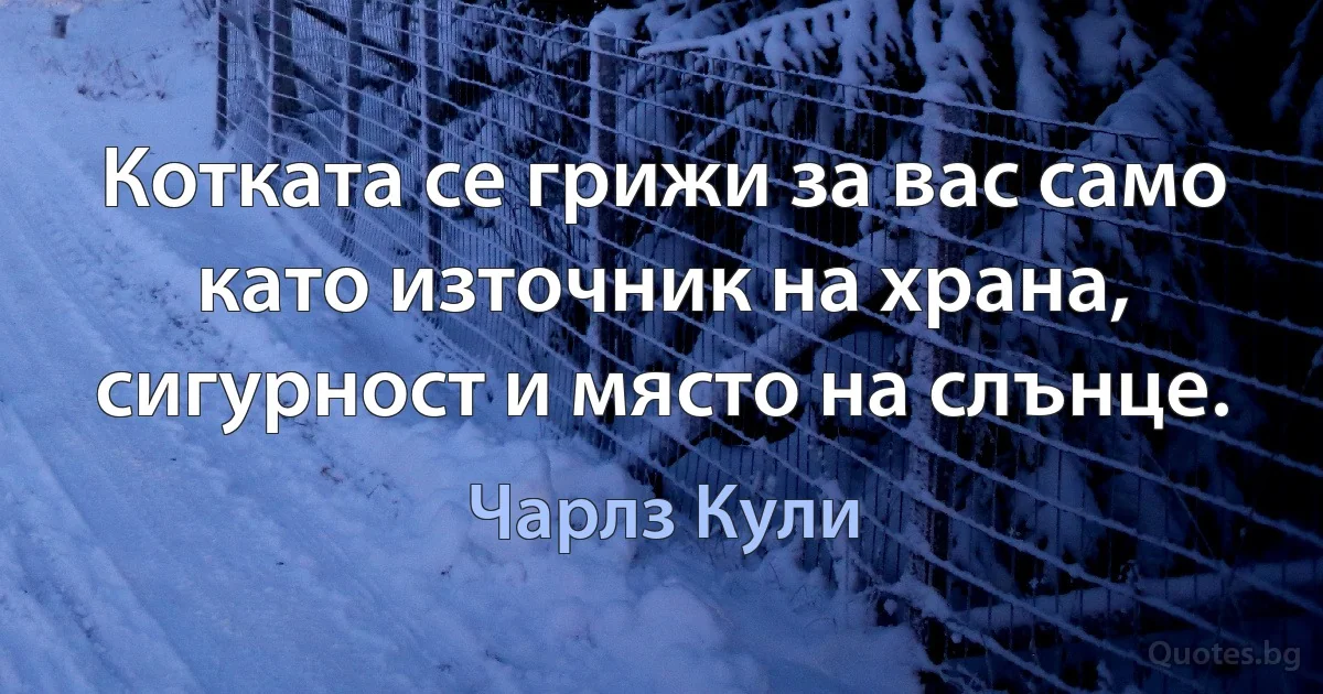 Котката се грижи за вас само като източник на храна, сигурност и място на слънце. (Чарлз Кули)