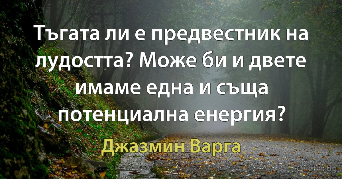 Тъгата ли е предвестник на лудостта? Може би и двете имаме една и съща потенциална енергия? (Джазмин Варга)