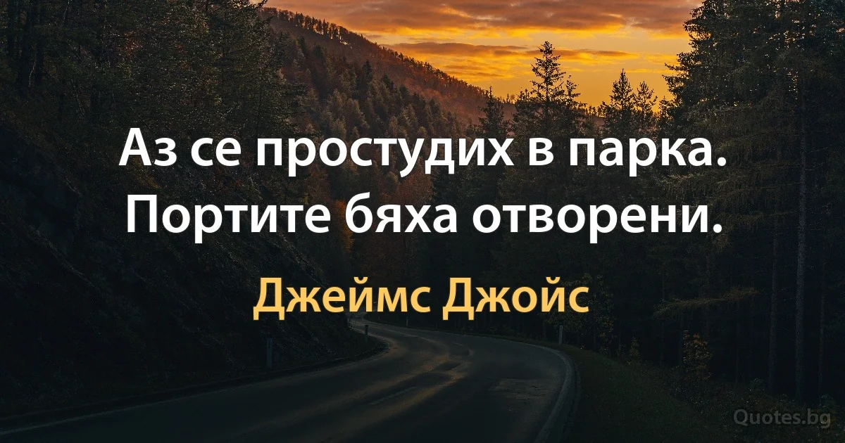 Аз се простудих в парка. Портите бяха отворени. (Джеймс Джойс)