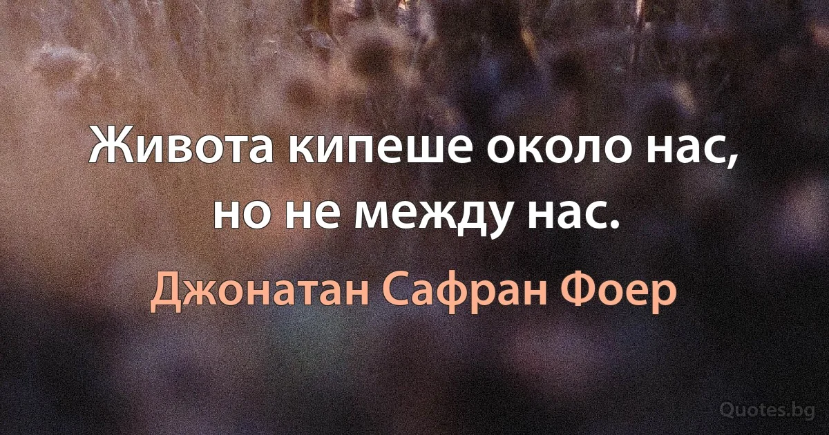 Живота кипеше около нас, но не между нас. (Джонатан Сафран Фоер)