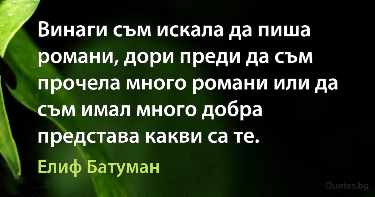 Винаги съм искала да пиша романи, дори преди да съм прочела много романи или да съм имал много добра представа какви са те. (Елиф Батуман)