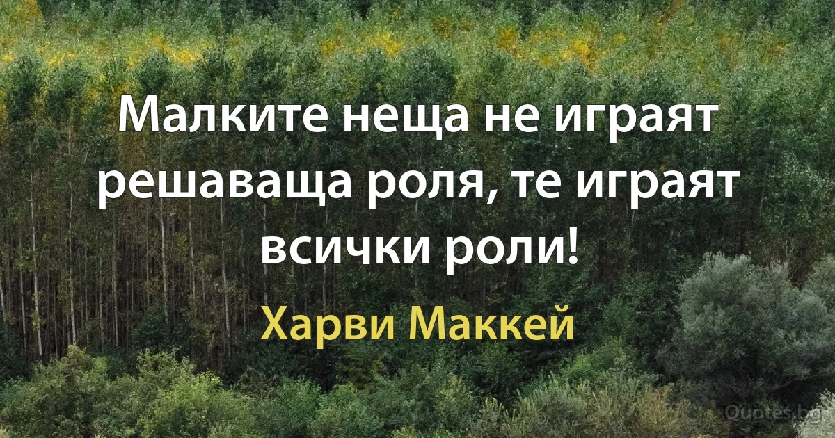 Малките неща не играят решаваща роля, те играят всички роли! (Харви Маккей)