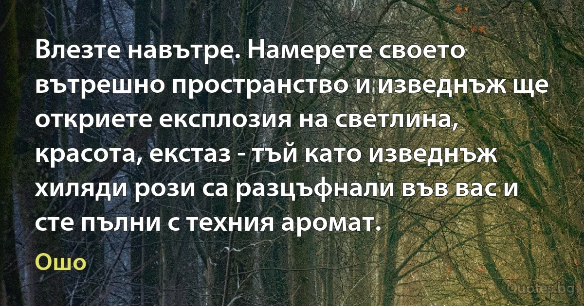 Влезте навътре. Намерете своето вътрешно пространство и изведнъж ще откриете експлозия на светлина, красота, екстаз - тъй като изведнъж хиляди рози са разцъфнали във вас и сте пълни с техния аромат. (Ошо)