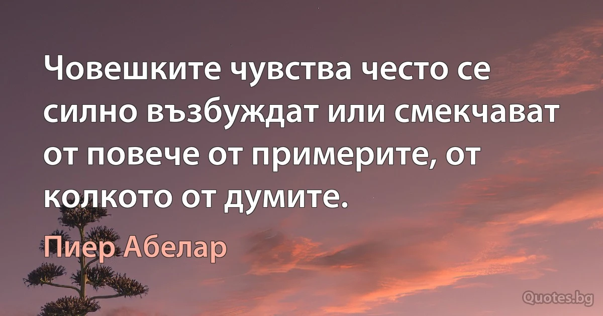 Човешките чувства често се силно възбуждат или смекчават от повече от примерите, от колкото от думите. (Пиер Абелар)