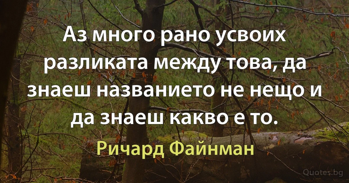 Аз много рано усвоих разликата между това, да знаеш названието не нещо и да знаеш какво е то. (Ричард Файнман)