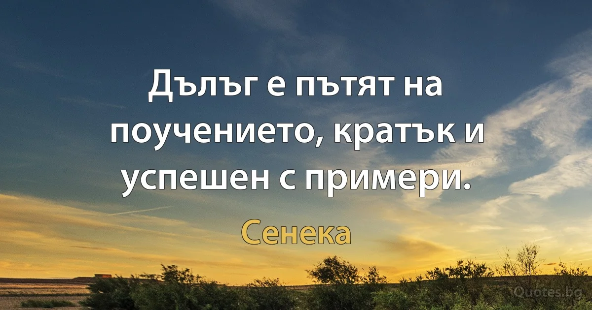 Дълъг е пътят на поучението, кратък и успешен с примери. (Сенека)