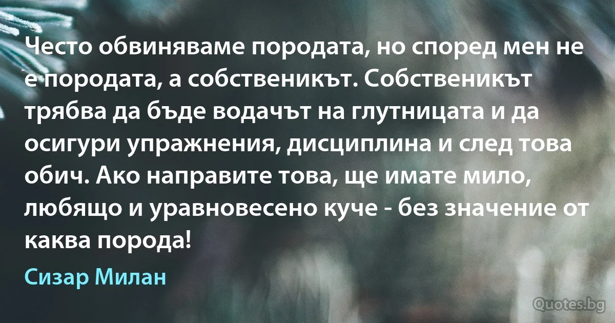 Често обвиняваме породата, но според мен не е породата, а собственикът. Собственикът трябва да бъде водачът на глутницата и да осигури упражнения, дисциплина и след това обич. Ако направите това, ще имате мило, любящо и уравновесено куче - без значение от каква порода! (Сизар Милан)