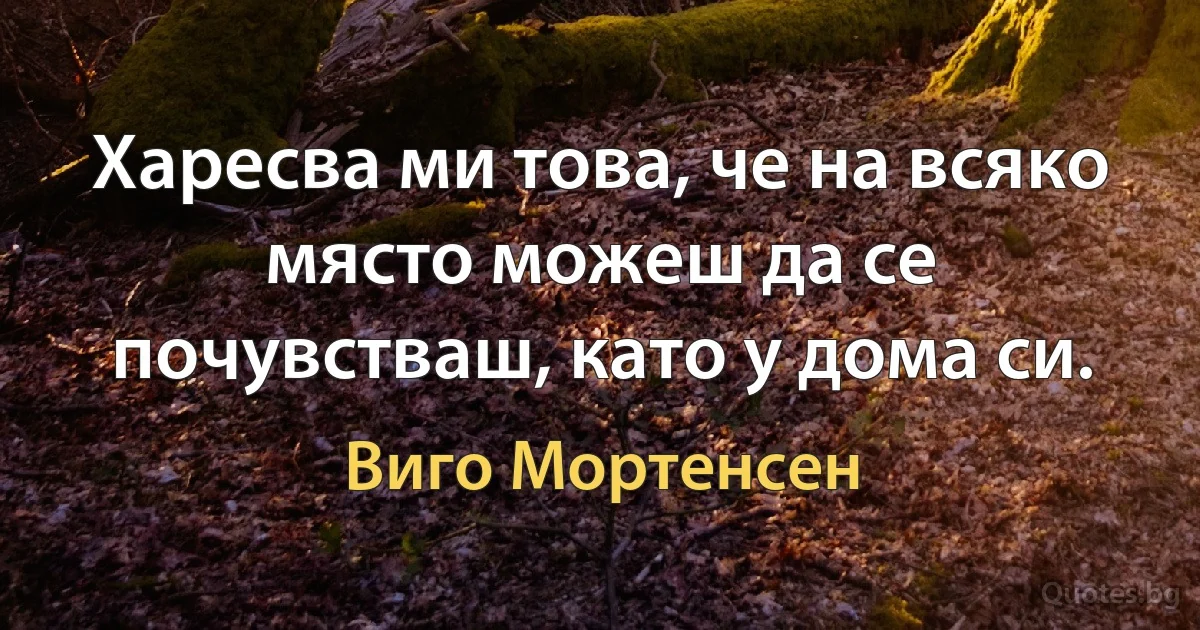 Харесва ми това, че на всяко място можеш да се почувстваш, като у дома си. (Виго Мортенсен)