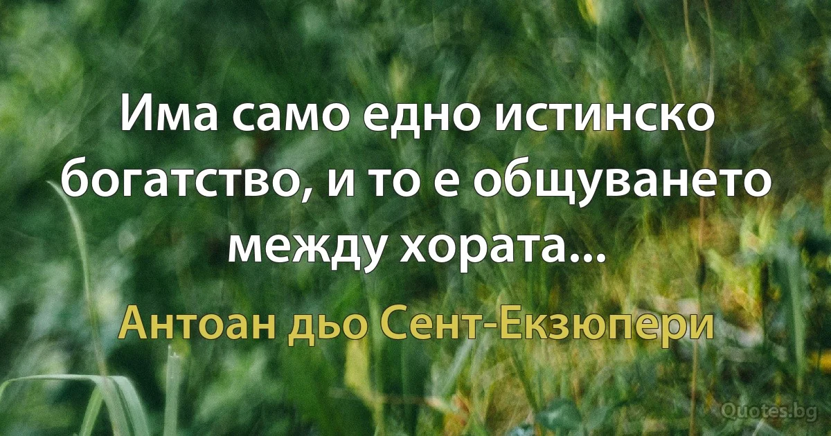 Има само едно истинско богатство, и то е общуването между хората... (Антоан дьо Сент-Екзюпери)