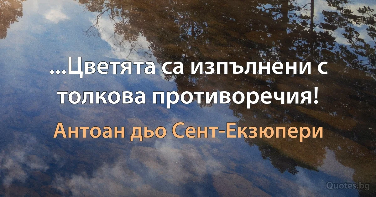 ...Цветята са изпълнени с толкова противоречия! (Антоан дьо Сент-Екзюпери)