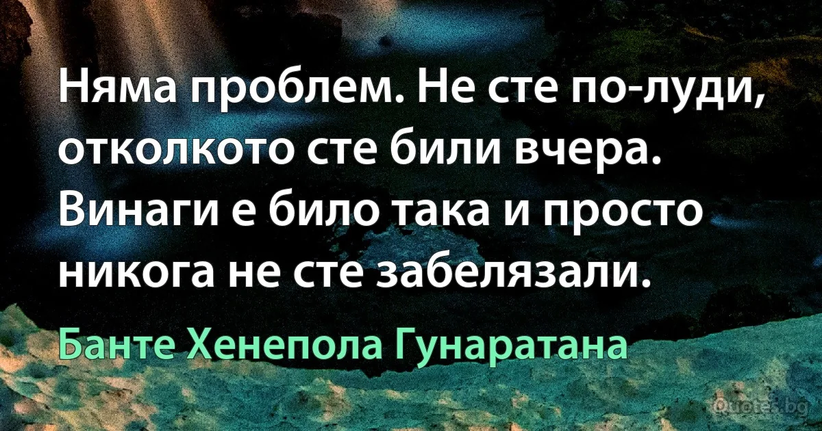 Няма проблем. Не сте по-луди, отколкото сте били вчера. Винаги е било така и просто никога не сте забелязали. (Банте Хенепола Гунаратана)