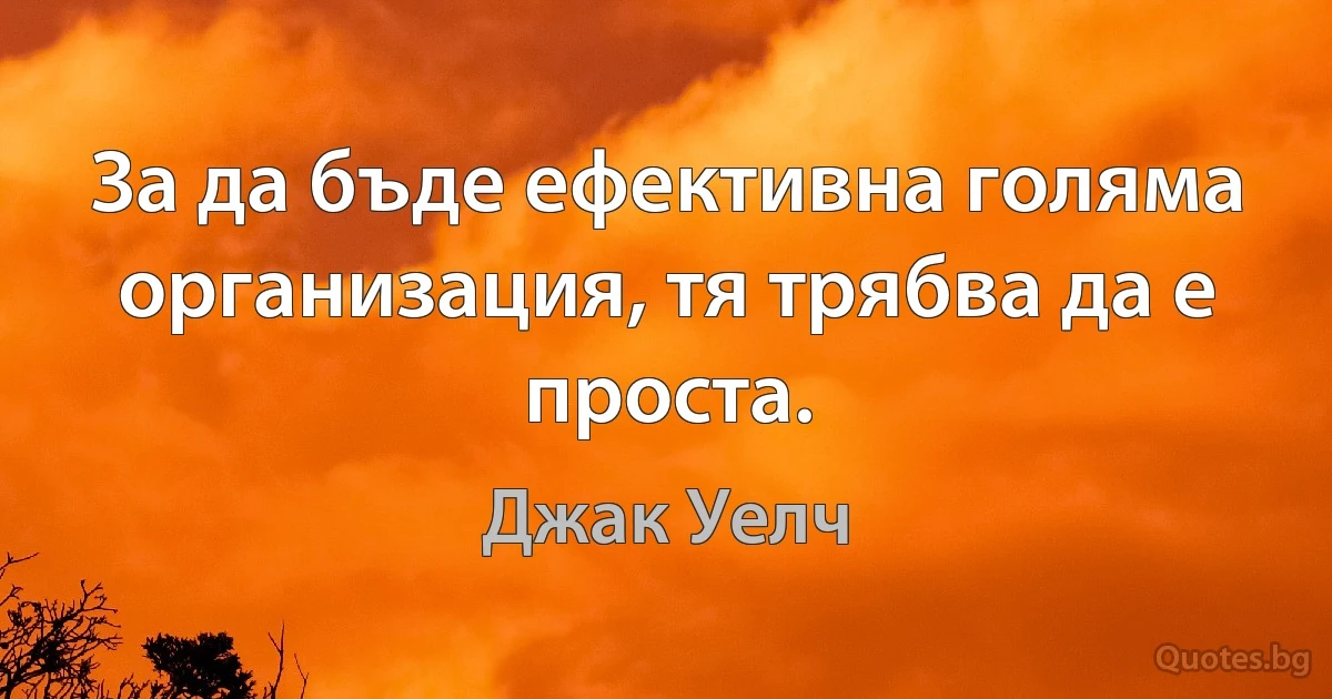 За да бъде ефективна голяма организация, тя трябва да е проста. (Джак Уелч)