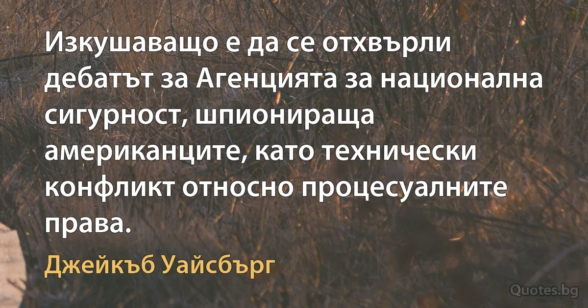 Изкушаващо е да се отхвърли дебатът за Агенцията за национална сигурност, шпионираща американците, като технически конфликт относно процесуалните права. (Джейкъб Уайсбърг)