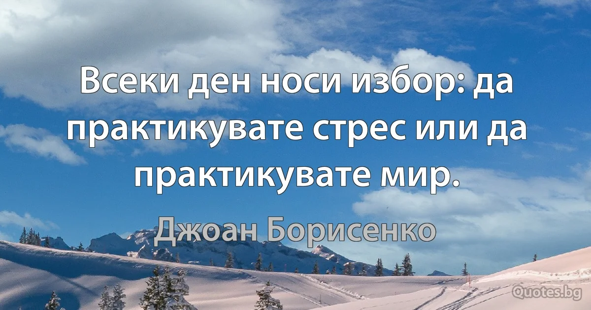 Всеки ден носи избор: да практикувате стрес или да практикувате мир. (Джоан Борисенко)