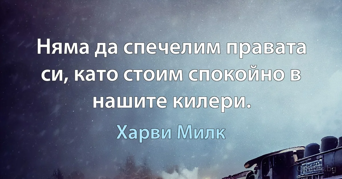 Няма да спечелим правата си, като стоим спокойно в нашите килери. (Харви Милк)