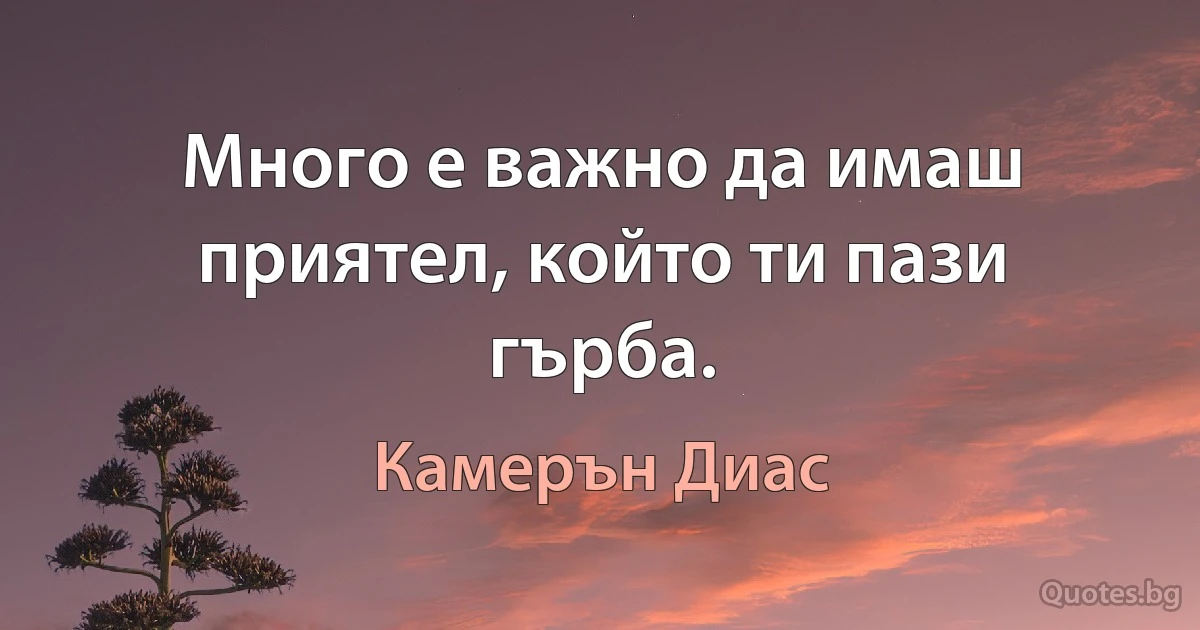 Много е важно да имаш приятел, който ти пази гърба. (Камерън Диас)