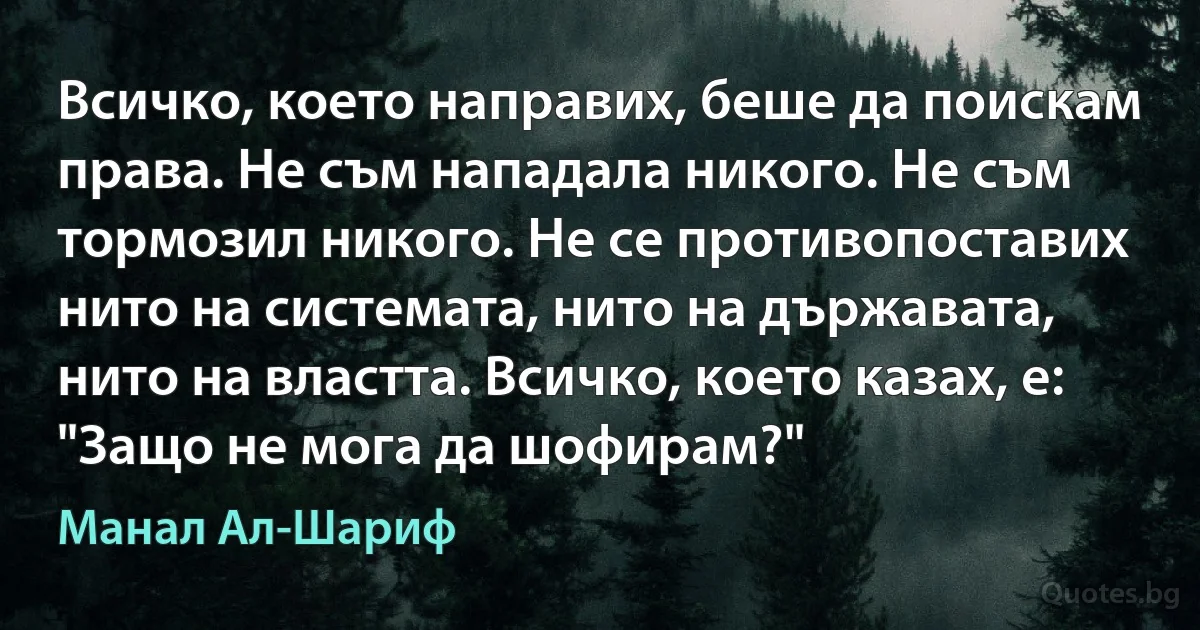 Всичко, което направих, беше да поискам права. Не съм нападала никого. Не съм тормозил никого. Не се противопоставих нито на системата, нито на държавата, нито на властта. Всичко, което казах, е: "Защо не мога да шофирам?" (Манал Ал-Шариф)