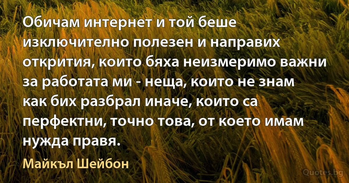 Обичам интернет и той беше изключително полезен и направих открития, които бяха неизмеримо важни за работата ми - неща, които не знам как бих разбрал иначе, които са перфектни, точно това, от което имам нужда правя. (Майкъл Шейбон)