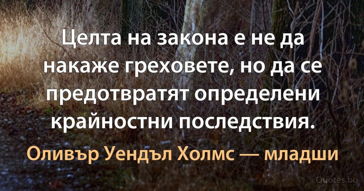 Целта на закона е не да накаже греховете, но да се предотвратят определени крайностни последствия. (Оливър Уендъл Холмс — младши)