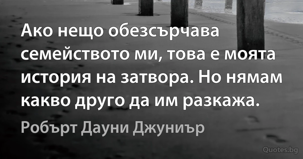 Ако нещо обезсърчава семейството ми, това е моята история на затвора. Но нямам какво друго да им разкажа. (Робърт Дауни Джуниър)