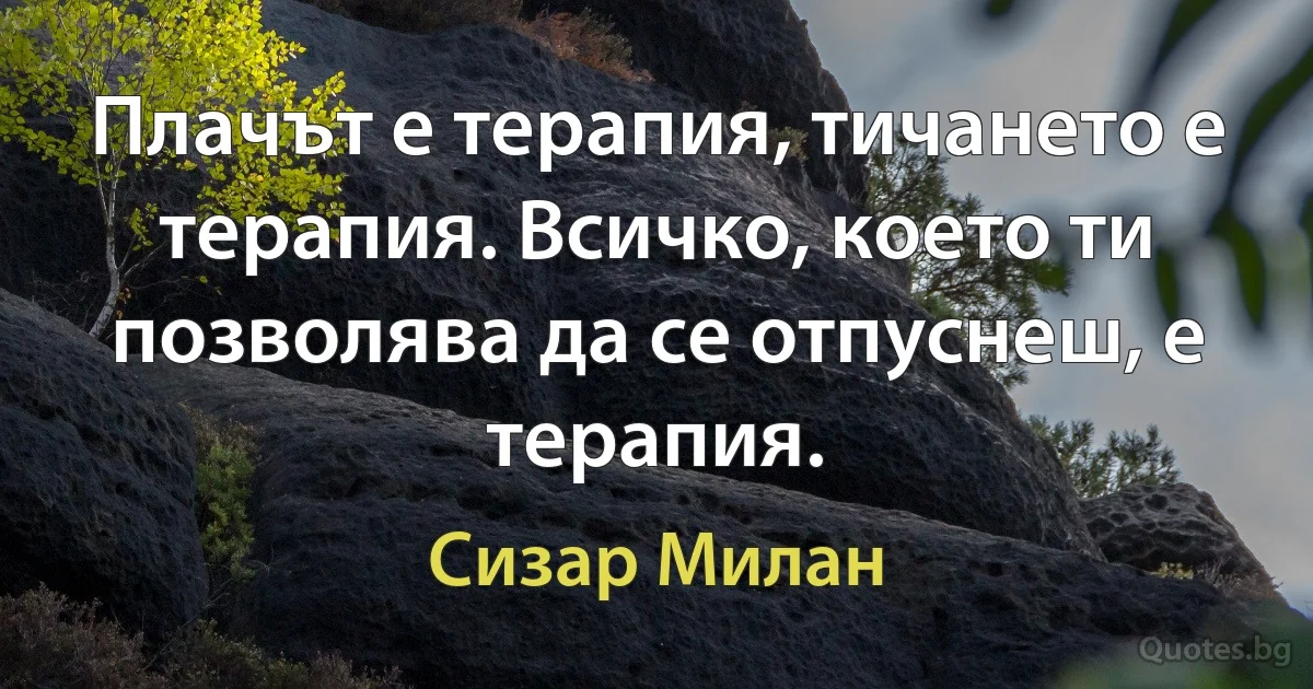 Плачът е терапия, тичането е терапия. Всичко, което ти позволява да се отпуснеш, е терапия. (Сизар Милан)