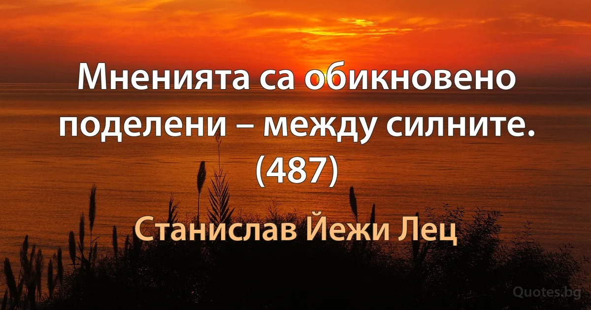 Мненията са обикновено поделени – между силните. (487) (Станислав Йежи Лец)