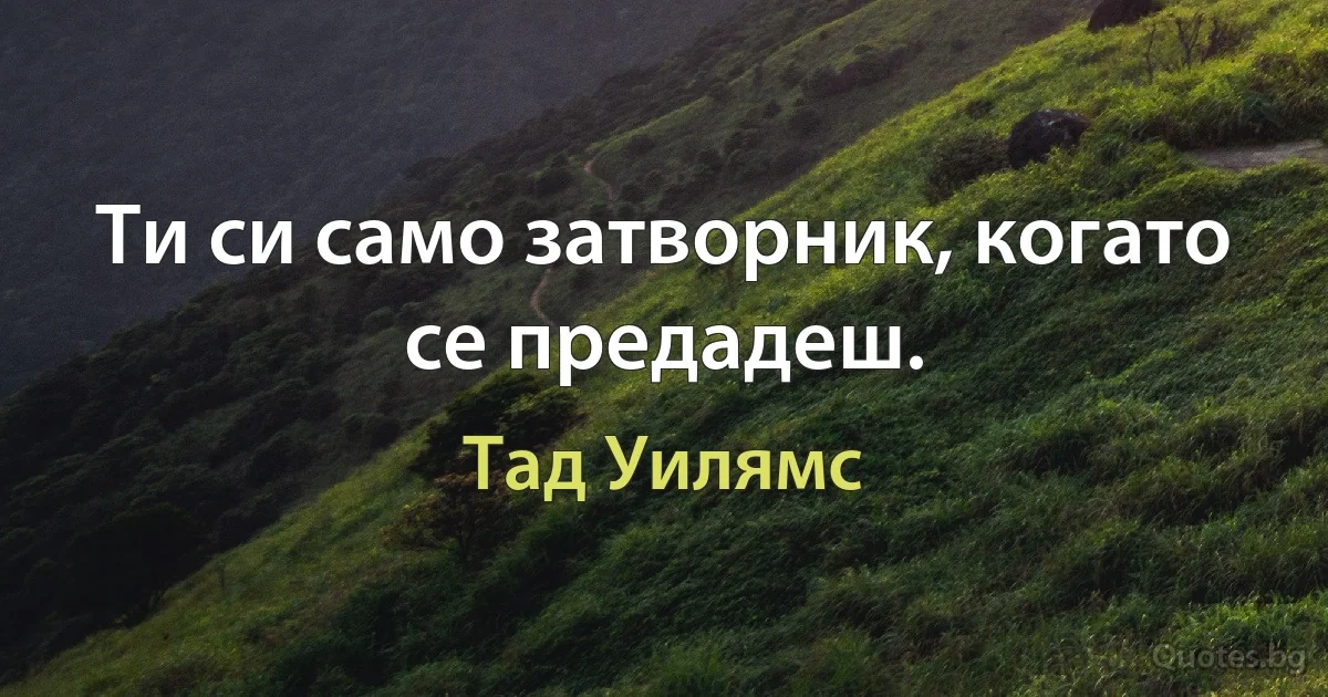 Ти си само затворник, когато се предадеш. (Тад Уилямс)