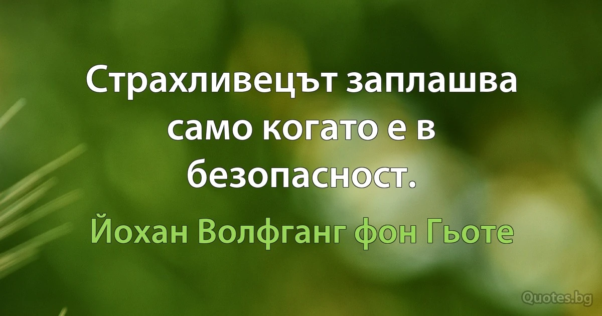 Страхливецът заплашва само когато е в безопасност. (Йохан Волфганг фон Гьоте)