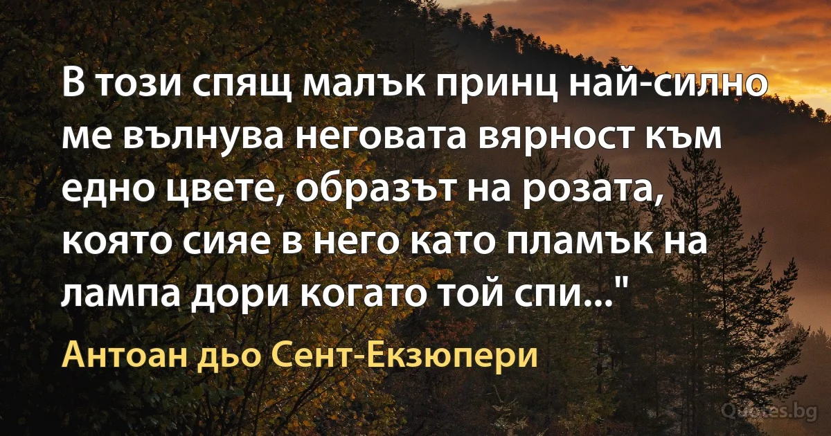 В този спящ малък принц най-силно ме вълнува неговата вярност към едно цвете, образът на розата, която сияе в него като пламък на лампа дори когато той спи..." (Антоан дьо Сент-Екзюпери)