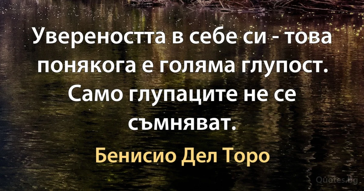 Увереността в себе си - това понякога е голяма глупост. Само глупаците не се съмняват. (Бенисио Дел Торо)