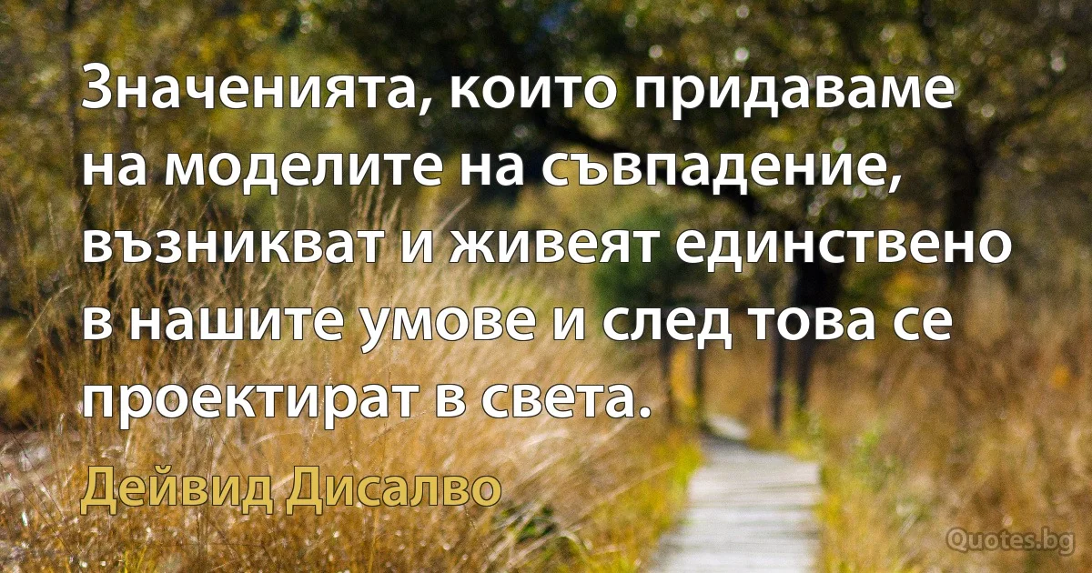 Значенията, които придаваме на моделите на съвпадение, възникват и живеят единствено в нашите умове и след това се проектират в света. (Дейвид Дисалво)