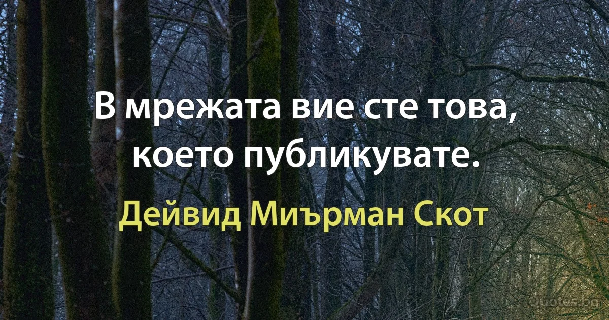 В мрежата вие сте това, което публикувате. (Дейвид Миърман Скот)