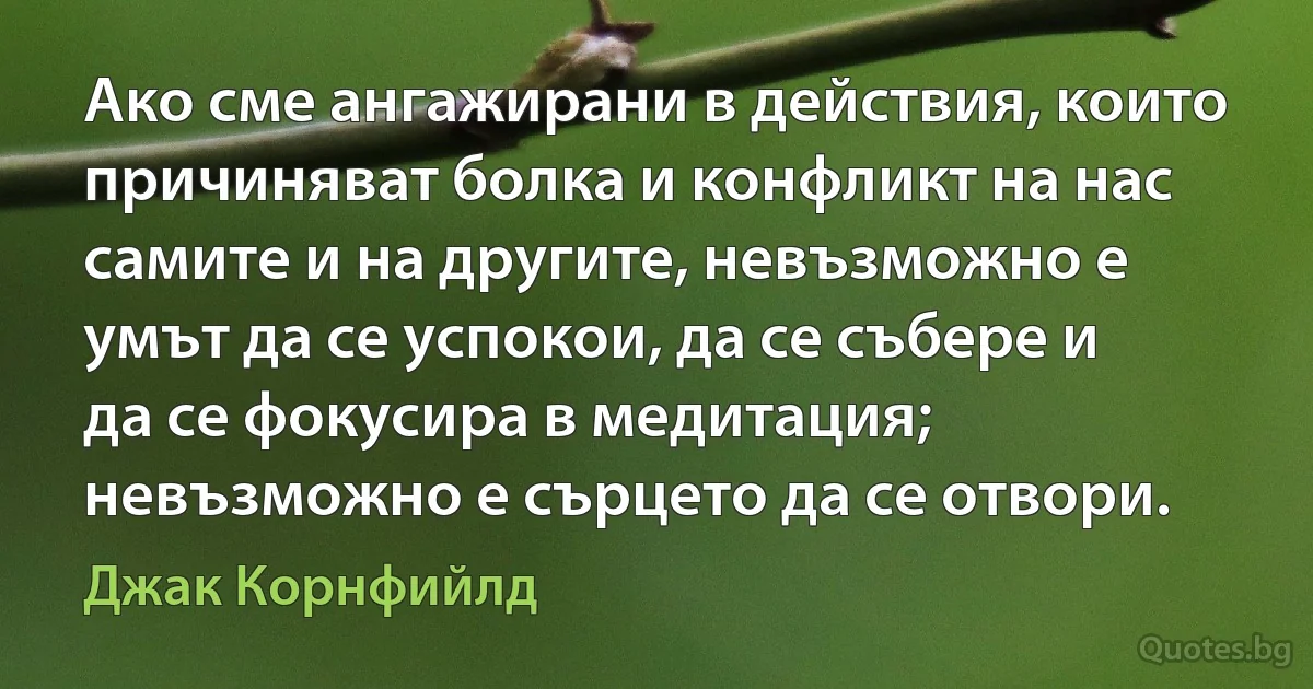 Ако сме ангажирани в действия, които причиняват болка и конфликт на нас самите и на другите, невъзможно е умът да се успокои, да се събере и да се фокусира в медитация; невъзможно е сърцето да се отвори. (Джак Корнфийлд)