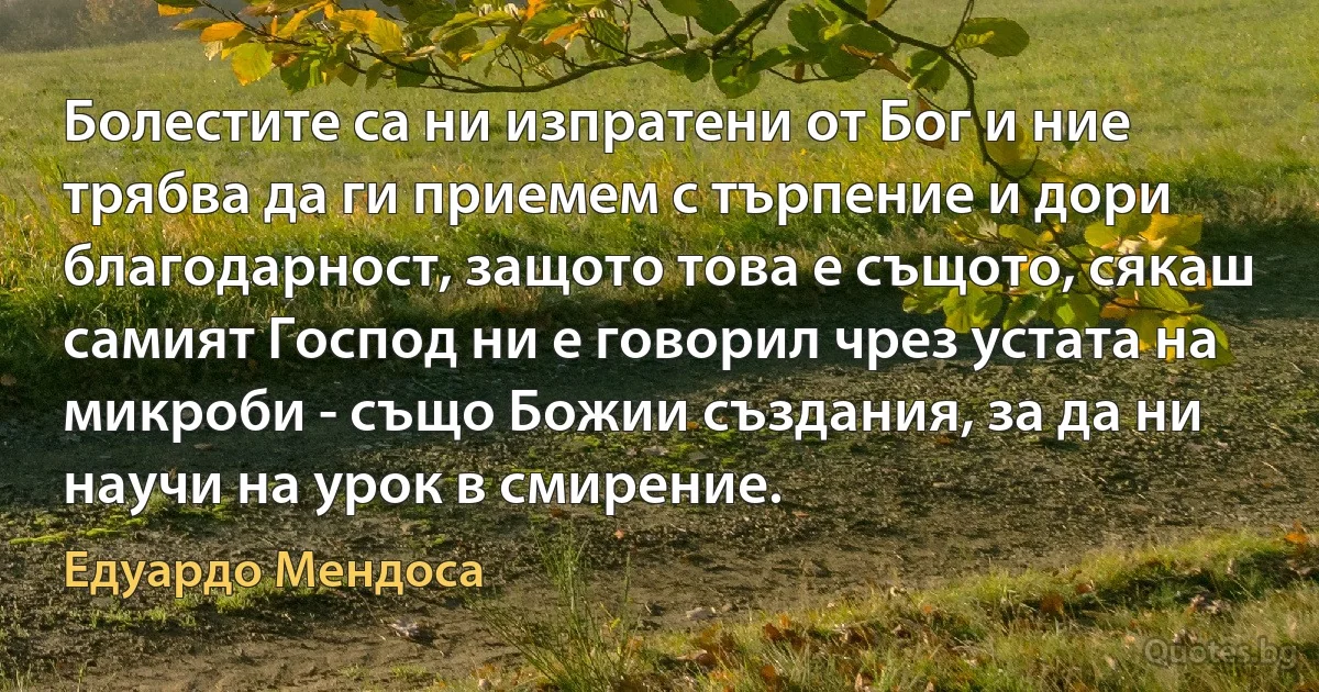 Болестите са ни изпратени от Бог и ние трябва да ги приемем с търпение и дори благодарност, защото това е същото, сякаш самият Господ ни е говорил чрез устата на микроби - също Божии създания, за да ни научи на урок в смирение. (Едуардо Мендоса)