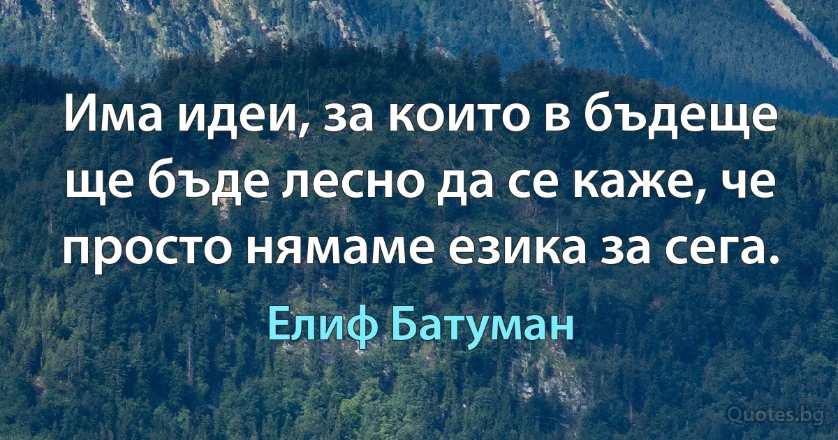 Има идеи, за които в бъдеще ще бъде лесно да се каже, че просто нямаме езика за сега. (Елиф Батуман)