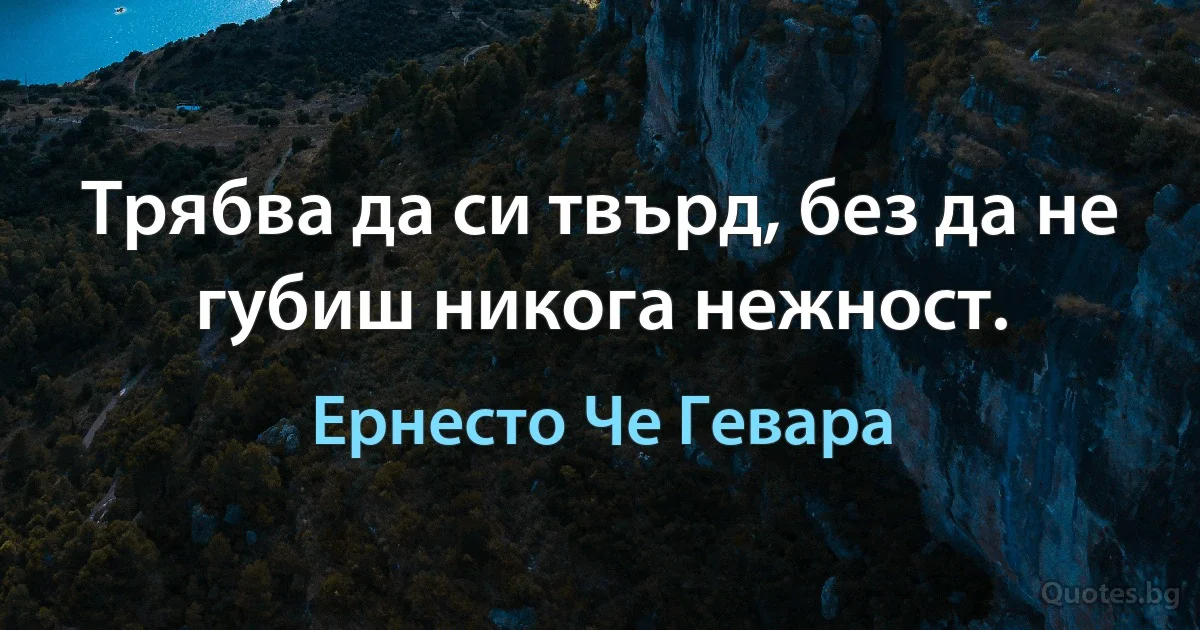 Трябва да си твърд, без да не губиш никога нежност. (Ернесто Че Гевара)