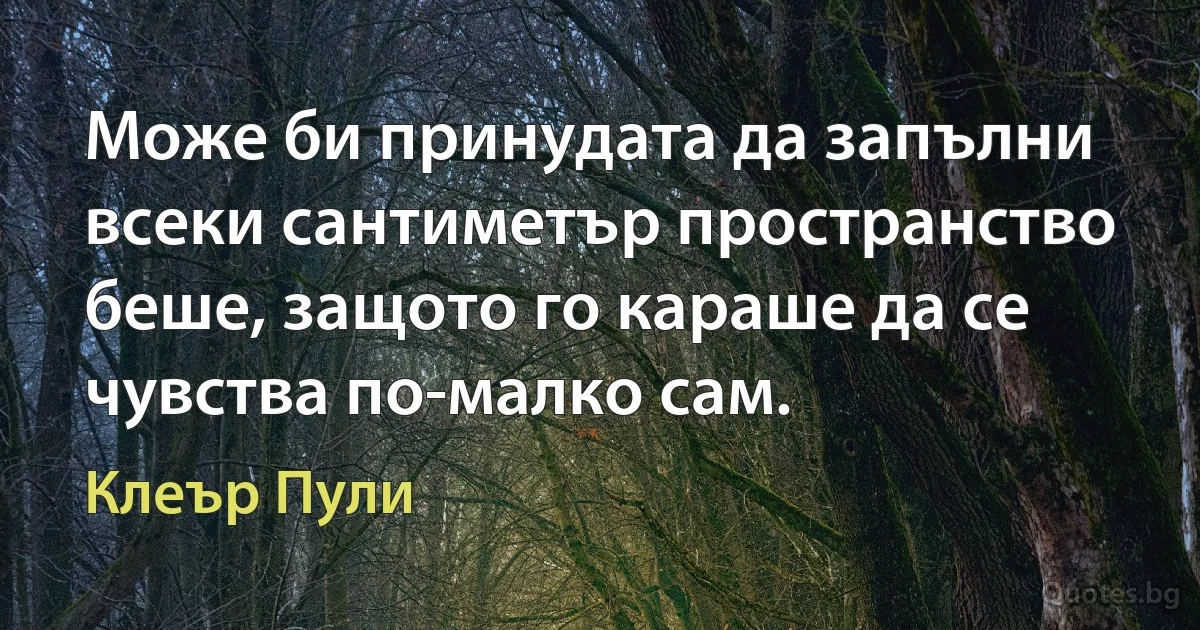 Може би принудата да запълни всеки сантиметър пространство беше, защото го караше да се чувства по-малко сам. (Клеър Пули)